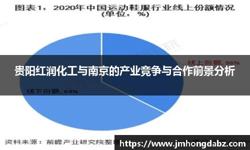 贵阳红润化工与南京的产业竞争与合作前景分析